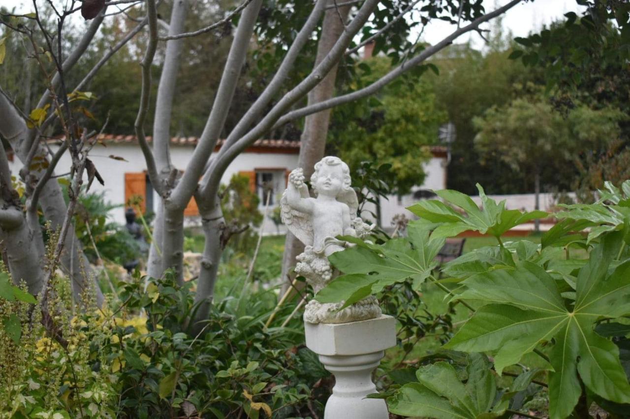 L'Oranger - Magnifique Studio Independant Sur Mougins Avec Jacuzzi Prive - Parking - Climatisation Exteriör bild